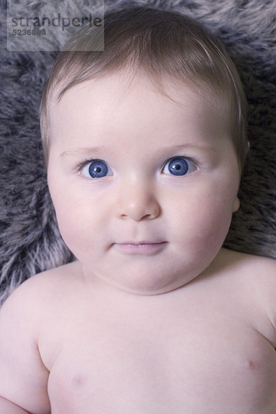 Baby Junge  Portrait