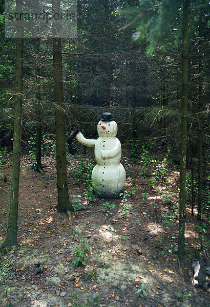 Wald  Kunststoff  Schneemann