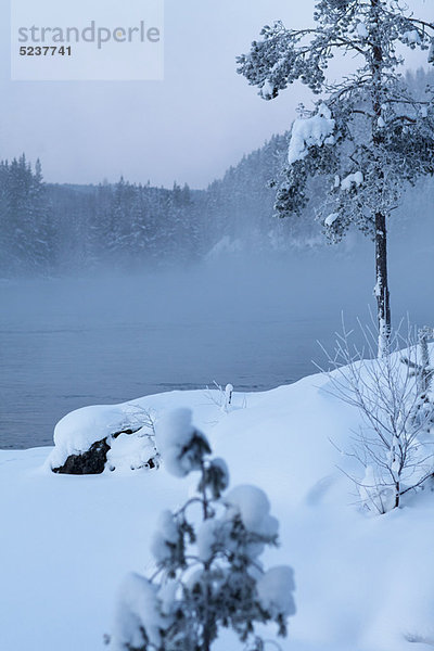 bedecken  See  Feld  Schnee