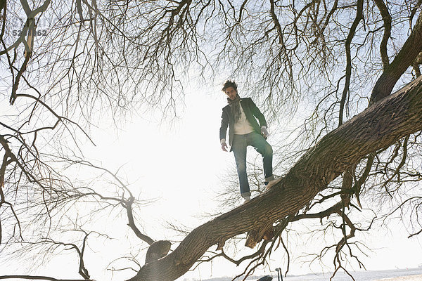 Mann auf Baumstamm stehend
