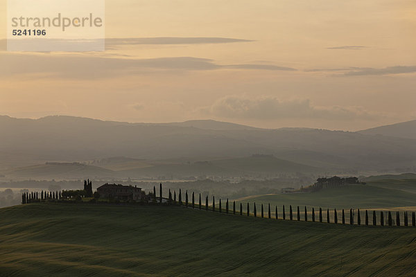 Italien  Toskana  Kreta  San Quirico d'Orcia  Blick auf Bauernhof mit Zypressen bei Sonnenaufgang