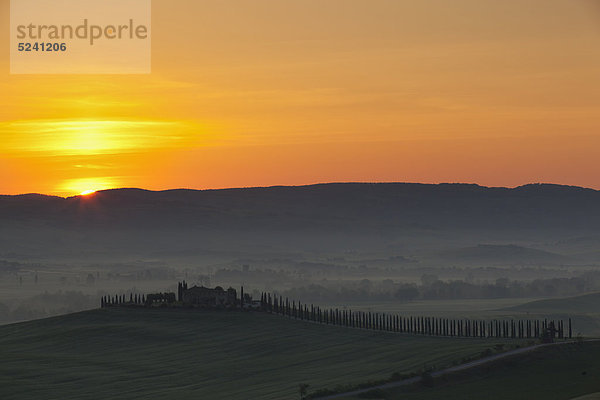 Italien  Toskana  Kreta  San Quirico d'Orcia  Blick auf Bauernhof mit Zypressen bei Sonnenaufgang