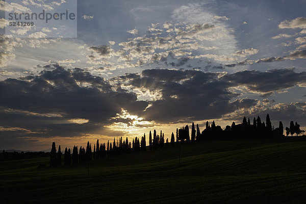 Italien  Toskana  Kreta  Blick auf Bauernhof mit Zypressen bei Sonnenuntergang