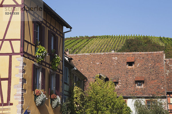 Frankreich  Elsass  Riquewihr  Haut-Rhin  Elsässische Weinstraße  Riquewihr  Blick auf Fachwerkhäuser im historischen Weindorf