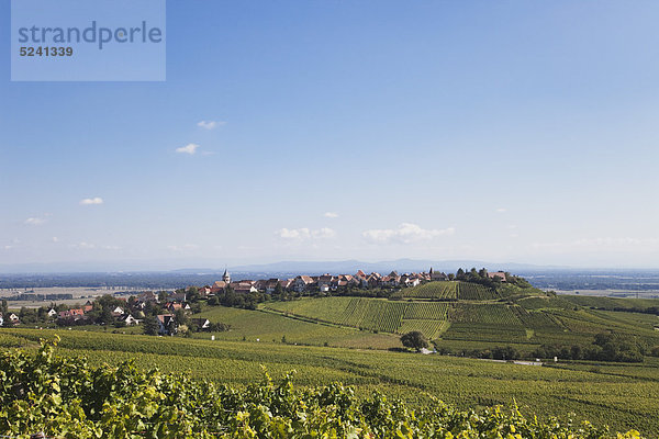 Frankreich  Elsass  Haut-Rhin  Elsässische Weinstraße  Hunawihr  Blick auf Weinberg und Dorf im Spätsommer