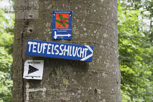 Deutschland  Rheinland-Pfalz  Eifel  Naturpark Südeifel  Nahaufnahme des Hinweisschildes am Baumstamm am Buchenwald