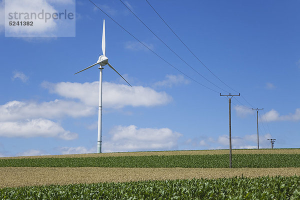 Deutschland  Rheinland-Pfalz  Eifel  Blick auf Windkraftanlage und Stromleitung im Maisfeld gegen bewölkten Himmel