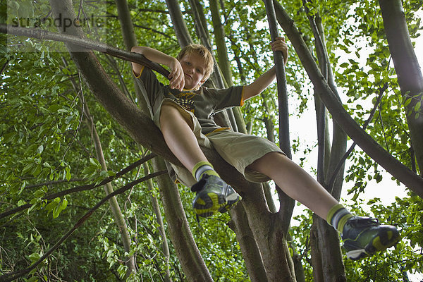 Junge auf Baumstamm sitzend