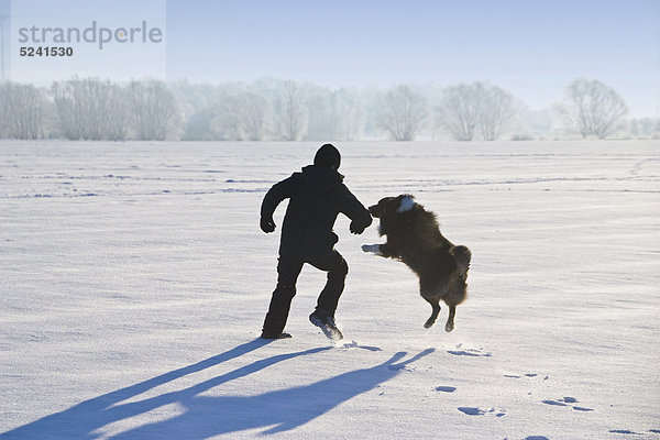 Junge spielt mit australischem Schäferhund im Schnee