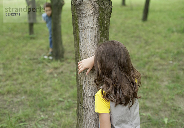 Kinder spielen hinter Bäumen verstecken
