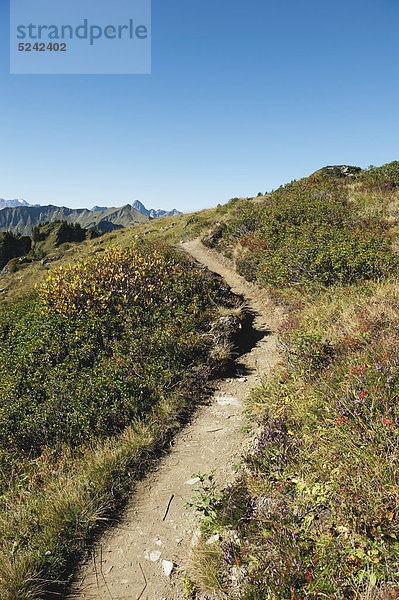 Österreich  Kleinwalsertal  Blick auf den Wanderweg am Berg