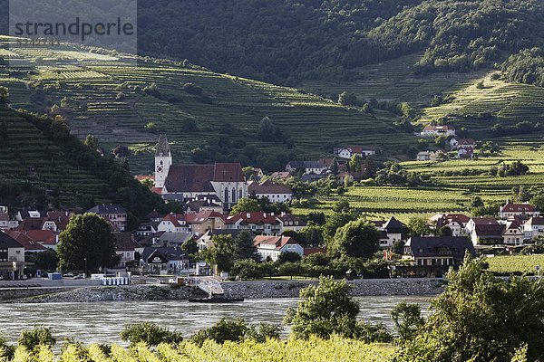 Österreich  Niederösterreich  Wachau  Spitz an der Donau  Blick auf das Dorf mit der Donau