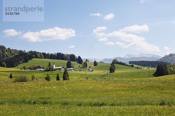 Deutschland  Bayern  Schwaben  Allgäu  Oberallgäu  Oberstaufen  Zell  Dorfansicht mit Wiese