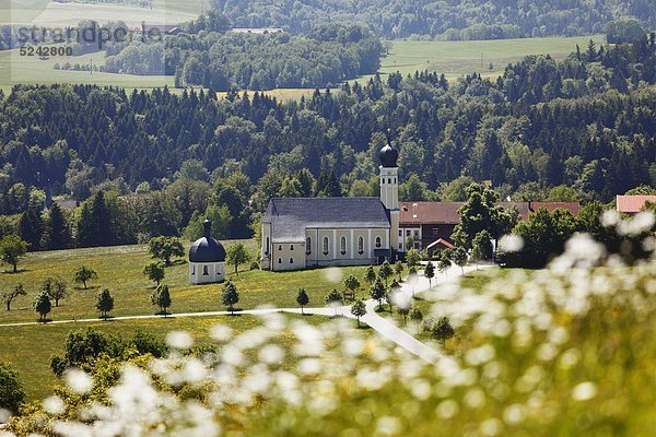 Deutschland  Bayern  Oberbayern  Irschenberg  Wilparting  Blick auf St. Marinus und Anianische Wallfahrtskirche