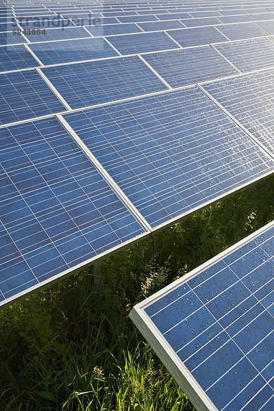 Deutschland  Baden-Württemberg  Winnenden  Blick auf eine große Anzahl von Solarmodulen im Solarkraftwerksbereich