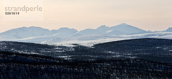 Winterlandschaft