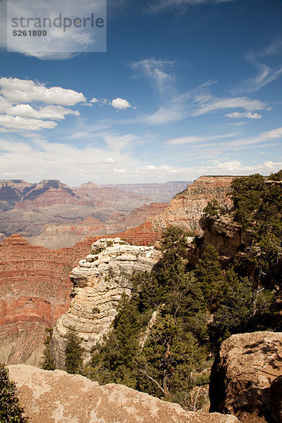 Südrand des Grand Canyon  Arizona  USA