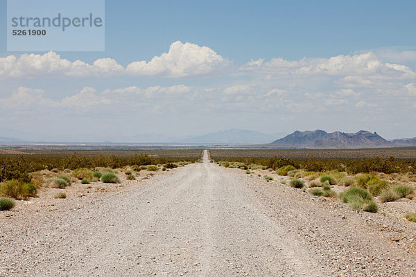 Road aus Nevada State Highway 160  USA