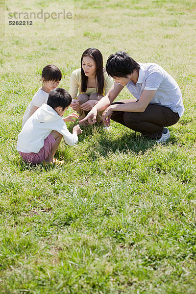 Familie mit zwei Kindern im Feld