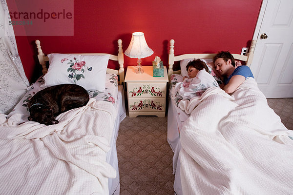 Junges Paar im Einzelbett  Hund schläft auf anderem Bett