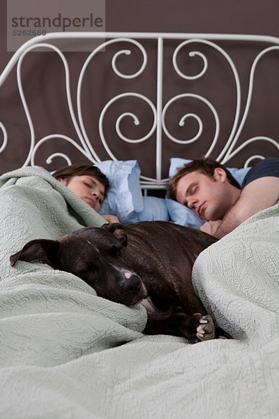 Junges Paar schläft im Bett mit Hund
