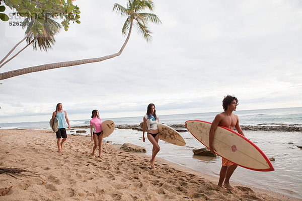Vier junge Freunde  die die Surfbretter am Strand