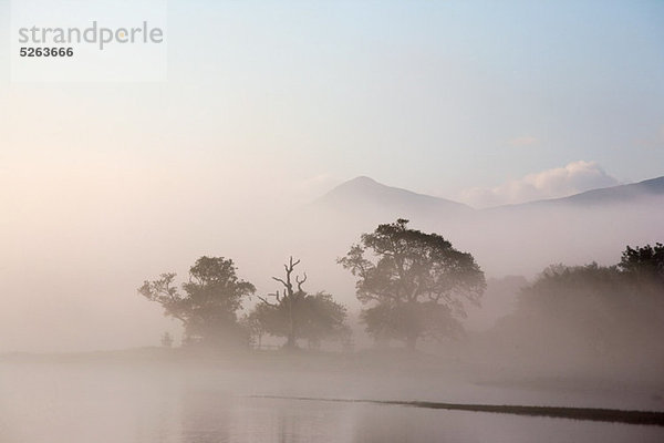 Bassenthwaite Lake  Lake District  Cumbria  England