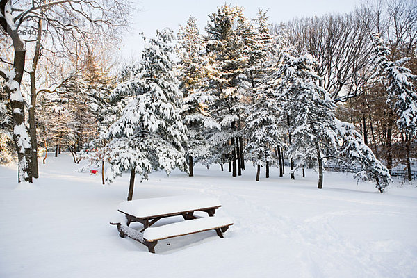 Parken im Winter