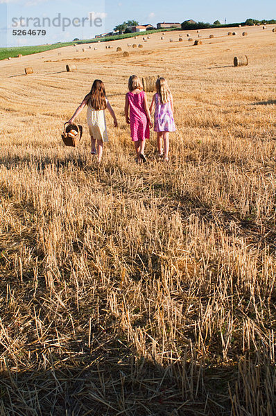 Drei Mädchen  die im Feld
