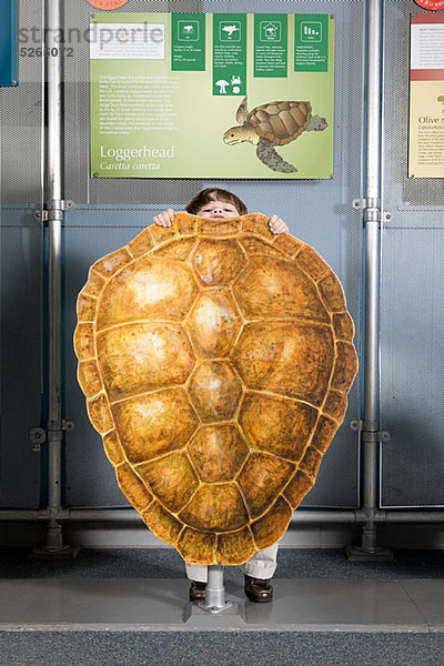 Wasserschildkröte Schildkröte hinter stehend Junge - Person