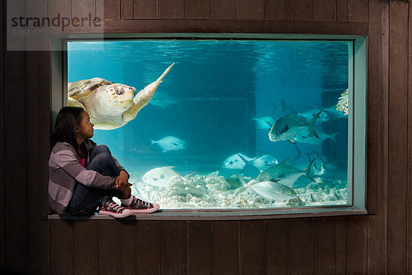 Wasserschildkröte Schildkröte sehen Mädchen