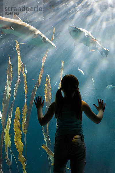 Mädchen beobachtet Haie im Aquarium