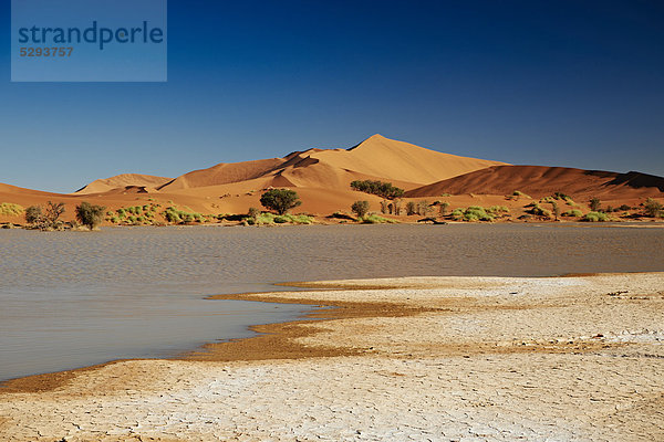 Wüste Namib  Sossusvlei  Namib-Naukluft National Park  Namibia  Afrika