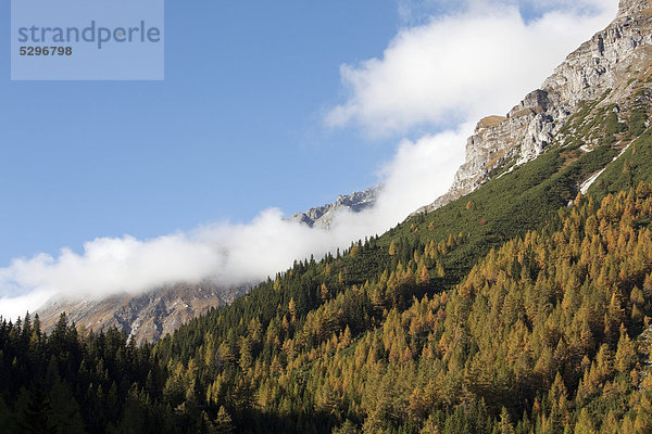 Unterreinsalm  Obernberger See  Obernberg  Tirol  ÷sterreich  Europa