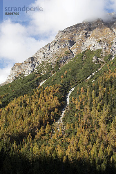 Unterreinsalm  Obernberger See  Obernberg  Tirol  ÷sterreich  Europa