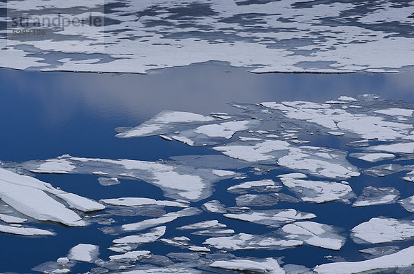 Eisschollen auf Sysenvatnet See  Hardanger Vidda  Hardangervidda  Norwegen  Skandinavien  Nordeuropa