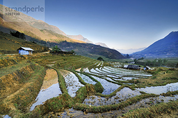 Bew‰sserte Reisterrassen  Reisfelder bei Sapa oder Sa Pa  Provinz Lao Cai  Nordvietnam  Vietnam  S¸dostasien  Asien