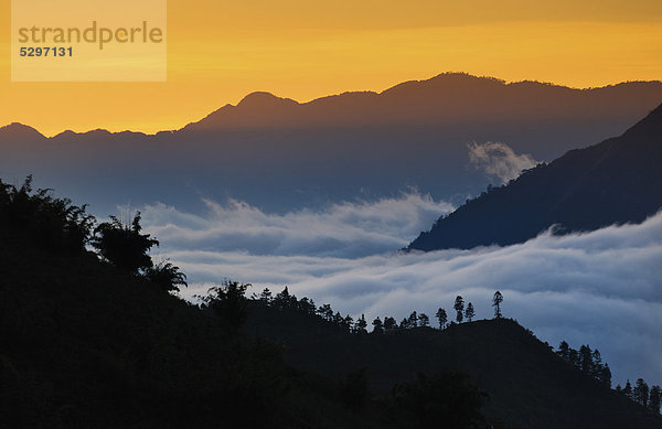 Morgenstimmung mit Wolkenmeer im Bergland bei Sapa oder Sa Pa  Provinz Lao Cai  Nordvietnam  Vietnam  S¸dostasien  Asien