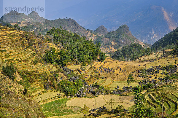 Berglandschaft mit Reisfeldern  Si Ma Cai District  Vietnam  Asien