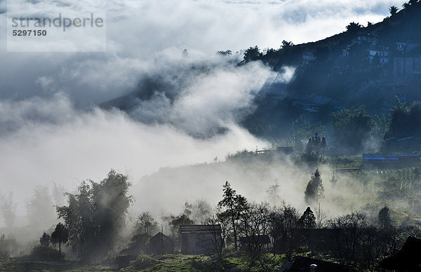 Nebelstimmung bei Sapa  Sa Pa  Provinz Lao Cai  Nordvietnam  Vietnam  S¸dostasien  Asien