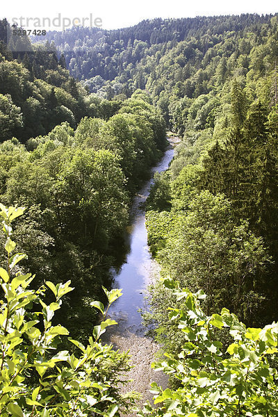 Die Wutach durchflie_t ein breites Kerbsohlental im Naturschutzgebiet Wutachschlucht  Schwarzwald  Baden-W¸rtemberg  Deutschland  Europa