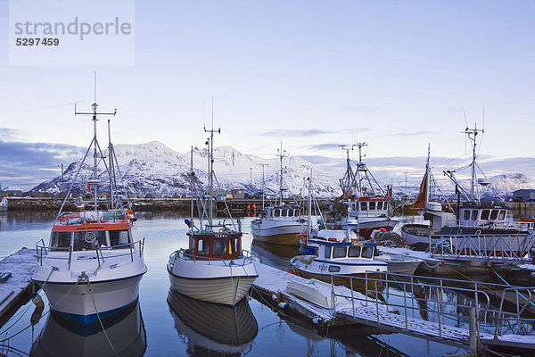 Boote im Fischerhafen von Tromvik  Norwegen  Europa