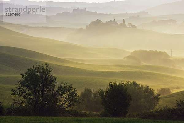 Landschaft im Morgennebel  Asciano  Toskana  Italien  Europa