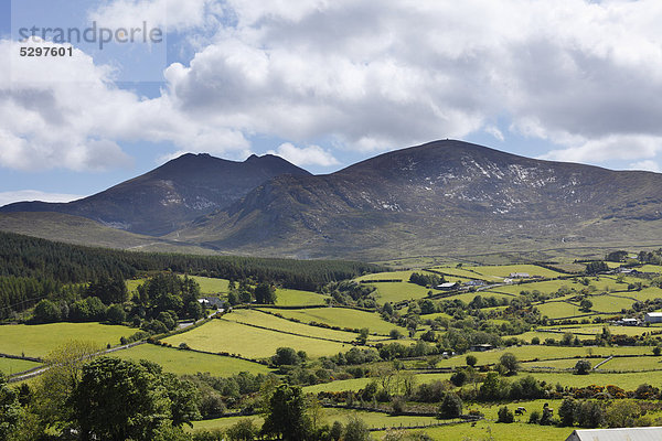 Mourne Mountains mit Slieve Bearnagh  County Down  Nordirland  Irland  Gro_britannien  Europa