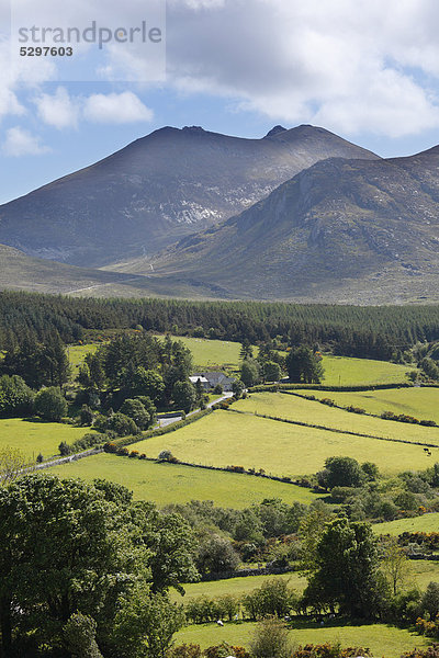 Slieve Bearnagh  Mourne Mountains  County Down  Nordirland  Irland  Gro_britannien  Europa