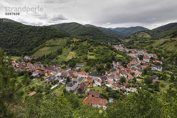 Blick von der Burg auf Senftenberg  Kremstal  Wachau  Niederˆsterreich  ÷sterreich  Europa