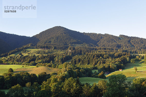 Hˆrnle bei Bad Kohlgrub  Ammergebirge  Oberbayern  Bayern  Deutschland  Europa  ÷ffentlicherGrund