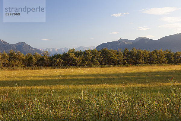 Murnauer Moos  Murnau  Blaues Land  Oberbayern  Bayern  Deutschland  Europa  ÷ffentlicherGrund