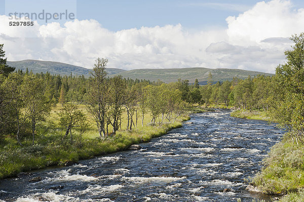 Wildnis  Wildfluss Grˆvlan  Langfj‰llet Naturreservat  Grˆvelsjˆn  Provinz Dalarna  Schweden  Skandinavien  Nordeuropa  Europa