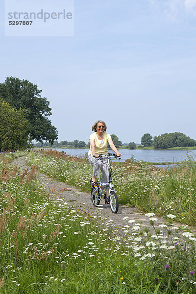 Radfahrerin auf dem Elbdeich bei Wussegel bei Hitzacker  Naturpark Elbufer-Drawehn  Niedersachsen  Deutschland  Europa